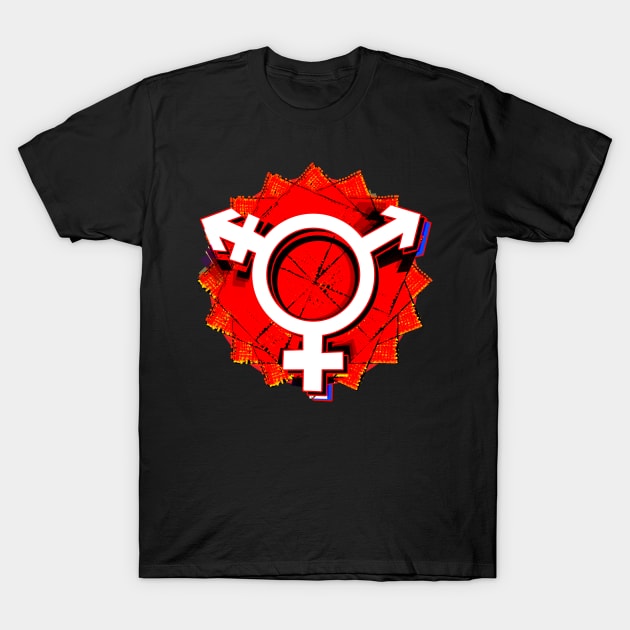 Transgender T-Shirt by momomoma